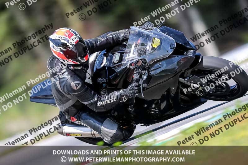 15 to 17th july 2013;Brno;event digital images;motorbikes;no limits;peter wileman photography;trackday;trackday digital images